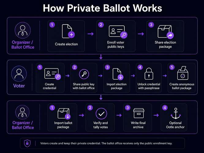 Private-ballot-flow-dark
